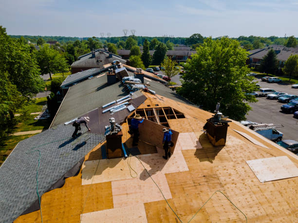 Best Storm Damage Roof Repair  in Oakboro, NC