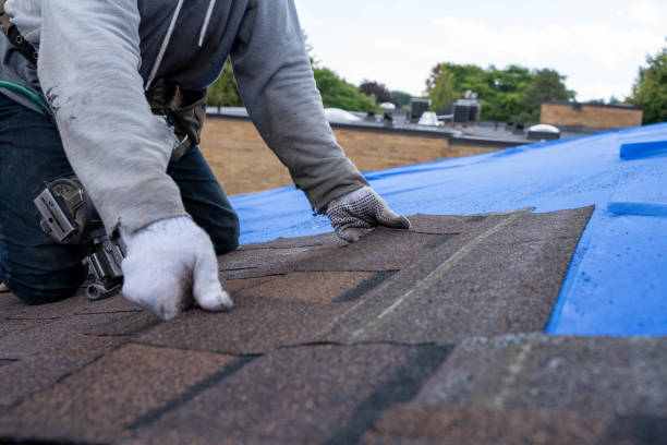 Roof Gutter Cleaning in Oakboro, NC